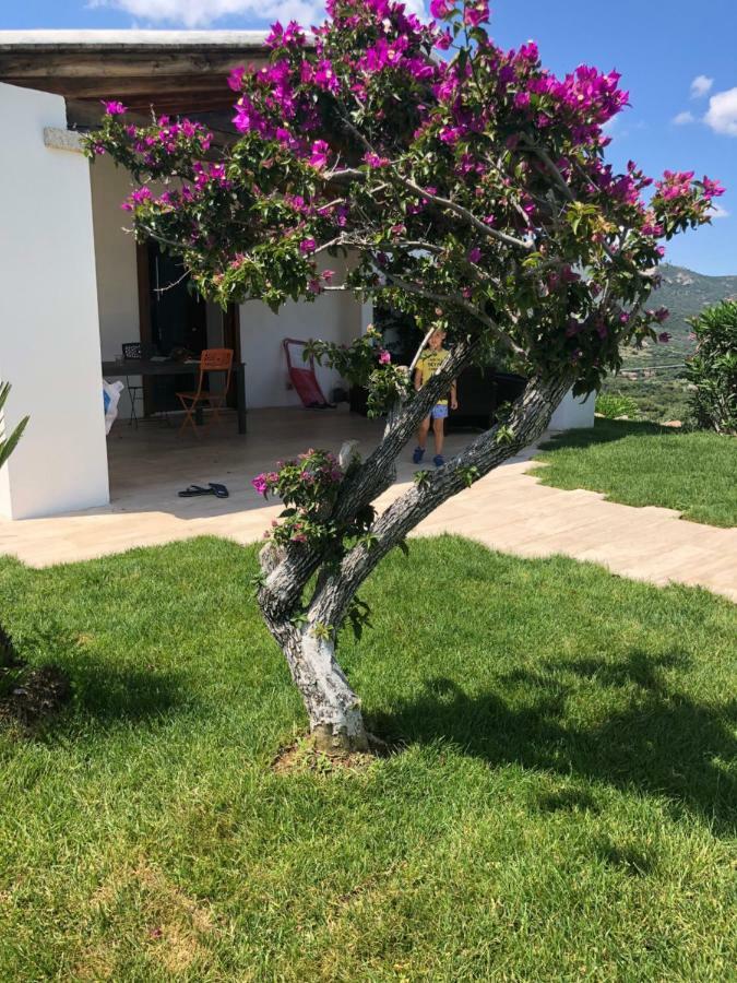 Villa Alba Esclusiva Villa Con Piscina A Sfioro E Vista Mozzafiato Sul Mare Cugnana Eksteriør bilde
